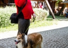 foto: Tomasz Sowa