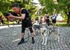 foto: Tomasz Sowa