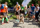 foto: Tomasz Sowa