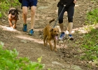 fot-tomasz-sowa-img_7895