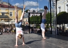ums_1175