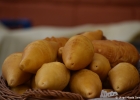foto: Urząd Miasta Sanoka