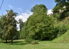ums_0290