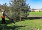 foto: Artur Mycio, MOSiR Sanok