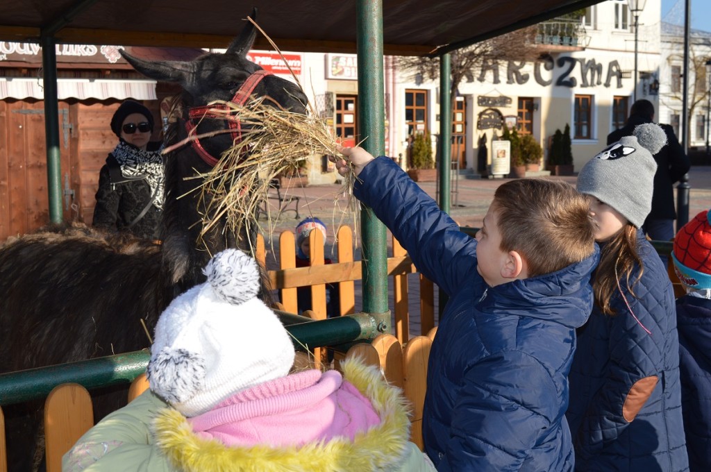 Wigilijne Spotkanie Mieszkańców Sanoka