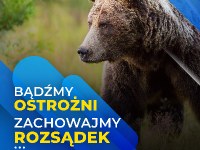 UWAGA Niedźwiedź !!!!