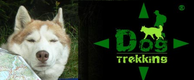 Mistrzostwa Polski 2016 w Dogtrekkingu