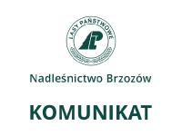 Lasy Państwowe poszukują nieruchomości gruntowych  do nabycia.