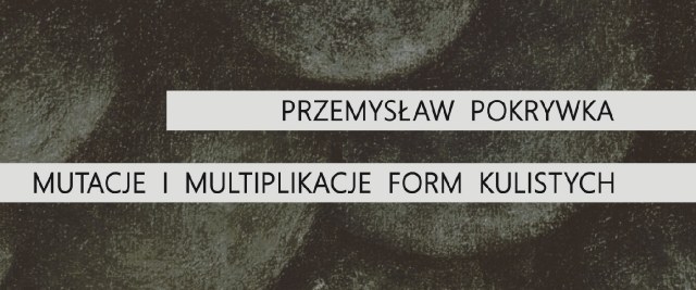 Przemysław Pokrywka „Mutacje i multiplikacje form kulistych”