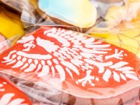 Obchody Święta Niepodległości