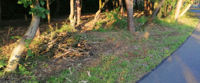 Trwają prace przy projekcie „Zagospodarowanie terenu brzegów rzeki San w Sanoku”