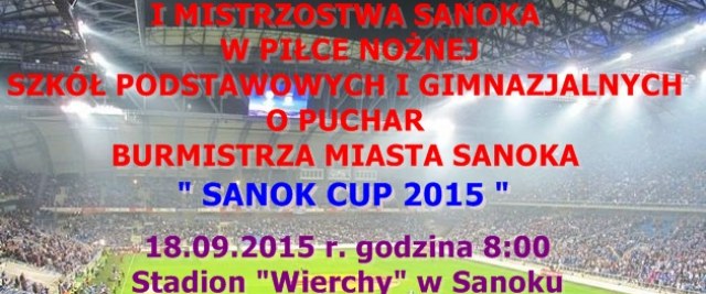 „Sanok Cup 2015”
