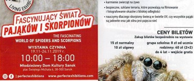 Fascynujący świat pająków i skorpionów