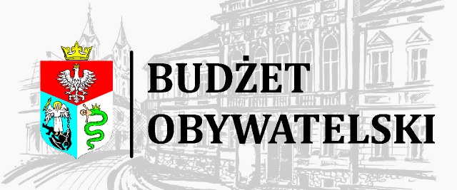 Budżet Obywatelski 2017. Jak głosować?