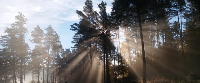 24 XI: Wernisaż „Fotografowanie moją pasją”