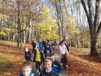 Wycieczka szkolna ścieżką ekologiczno-przyrodniczą w Parku Miejskim