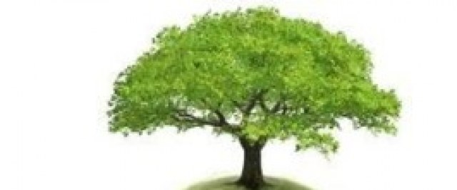 Obwieszczenie Regionalnego Dyrektora Ochrony Środowiska w Rzeszowie