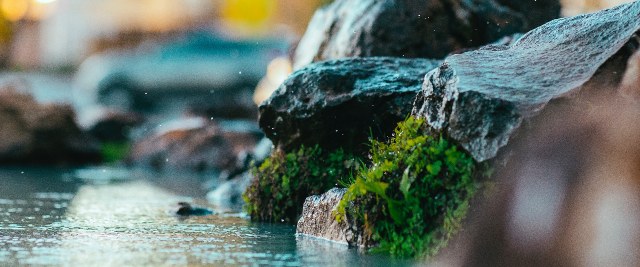 „Zagospodarowanie terenów brzegów rzeki San w Sanoku”